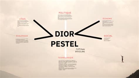 pestel dior